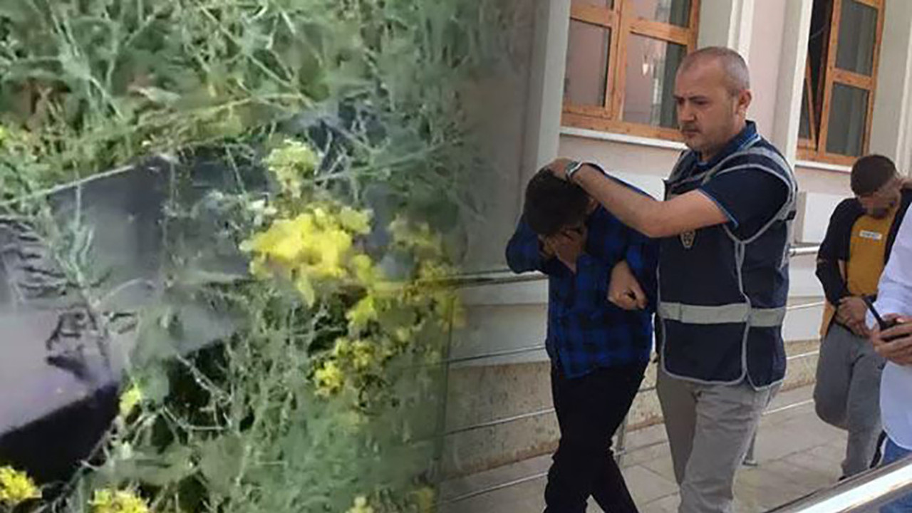 2 gün çalıştığı iş yerinden milyonluk hırsızlık