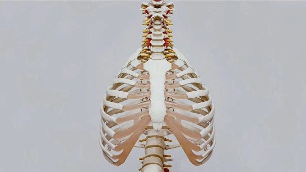 Bağırsakları göğüs kafesinde doğdu