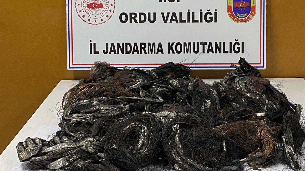 Kablo fareleri yakayı ele verdi