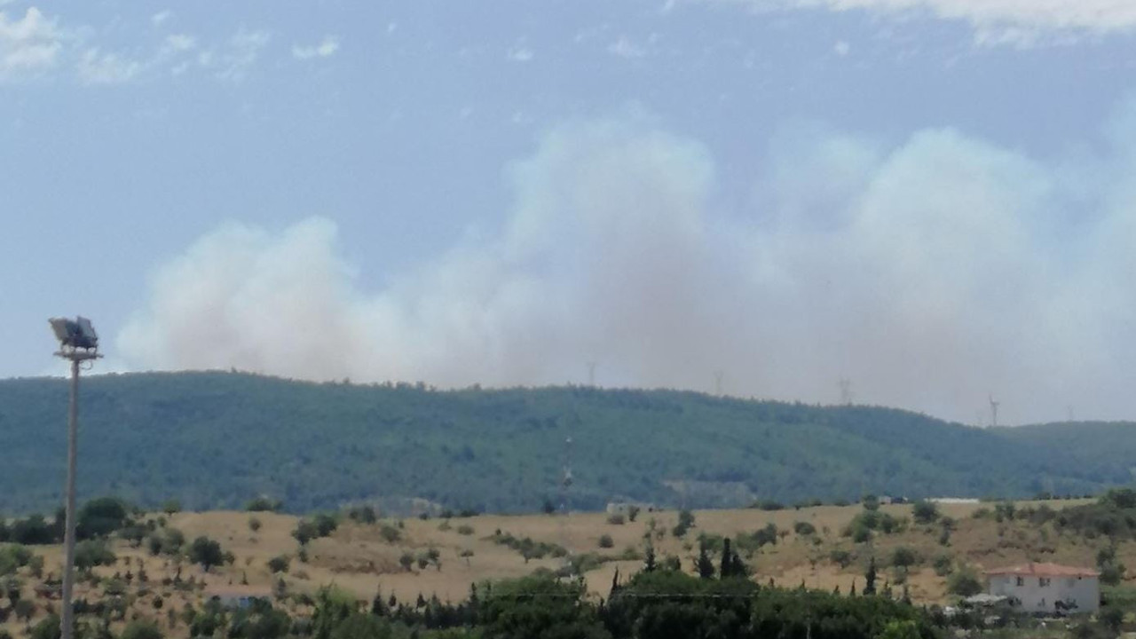 İzmir'de orman yangını
