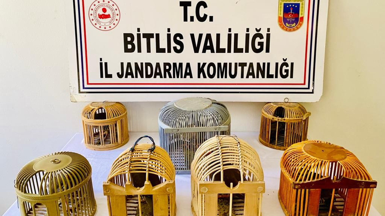 Keklik avcılarına 15 bin lira ceza uygulandı