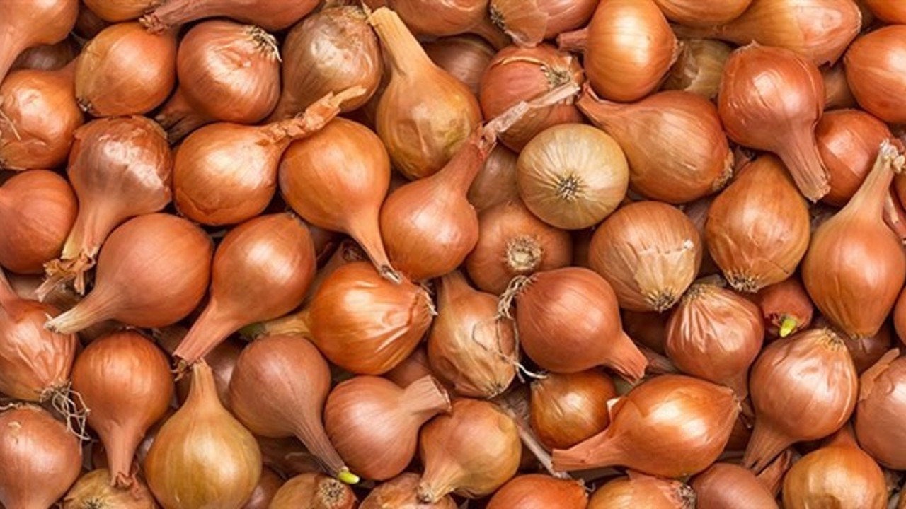 İşte asgari ücretlinin bir yıllık kaybı 1137 yumurta 1015 kilo kuru soğan