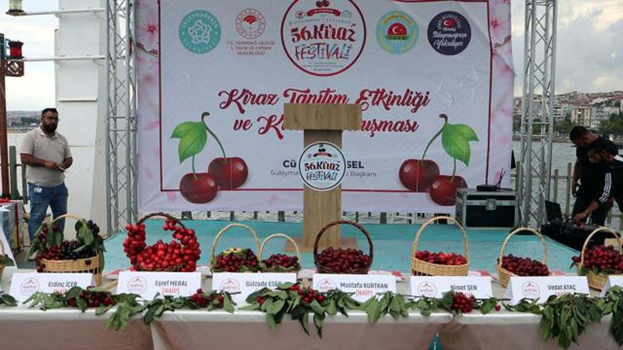 Tekirdağ'ın 'en güzel kirazı' seçildi