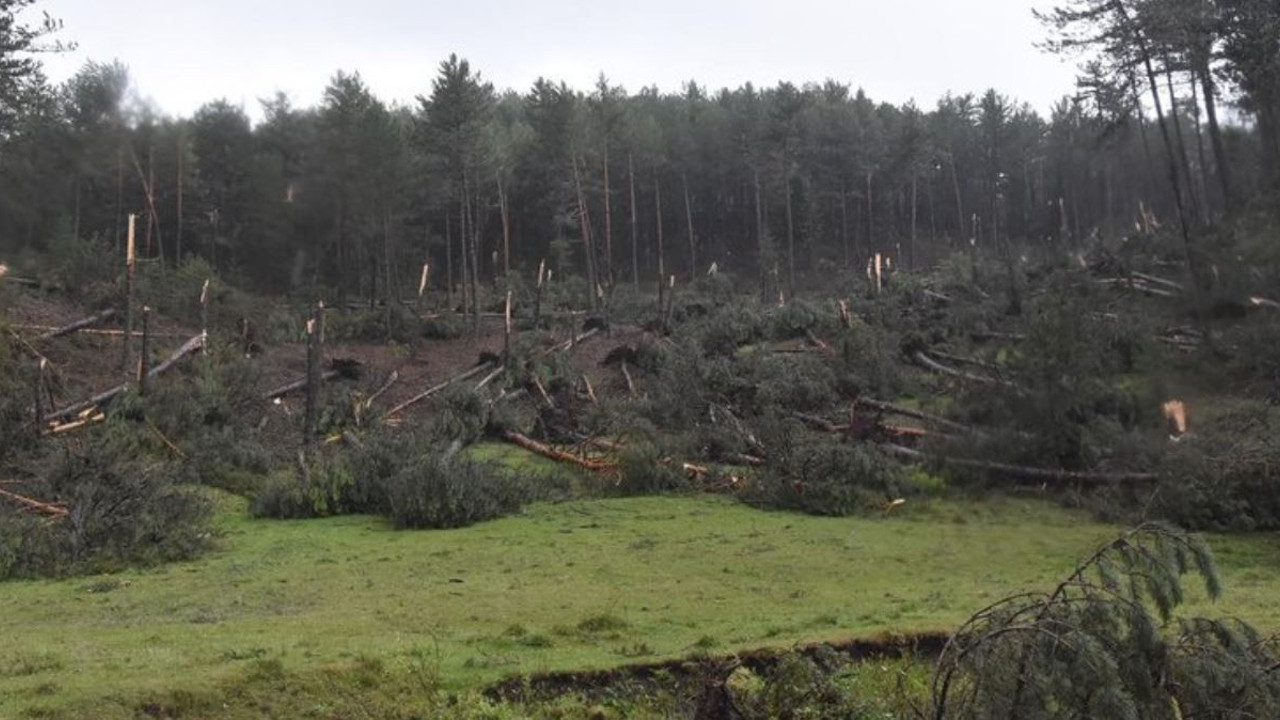 Fırtına hayatı felç etti. Yüzlerce ağaç devrildi, iletişim hatları zarar gördü