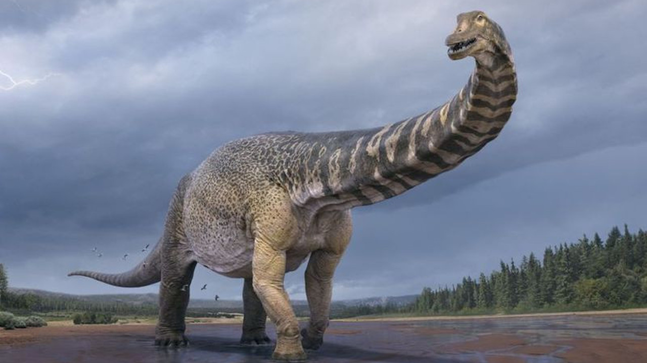 Avrupa'nın en büyük dinozor fosili bulundu