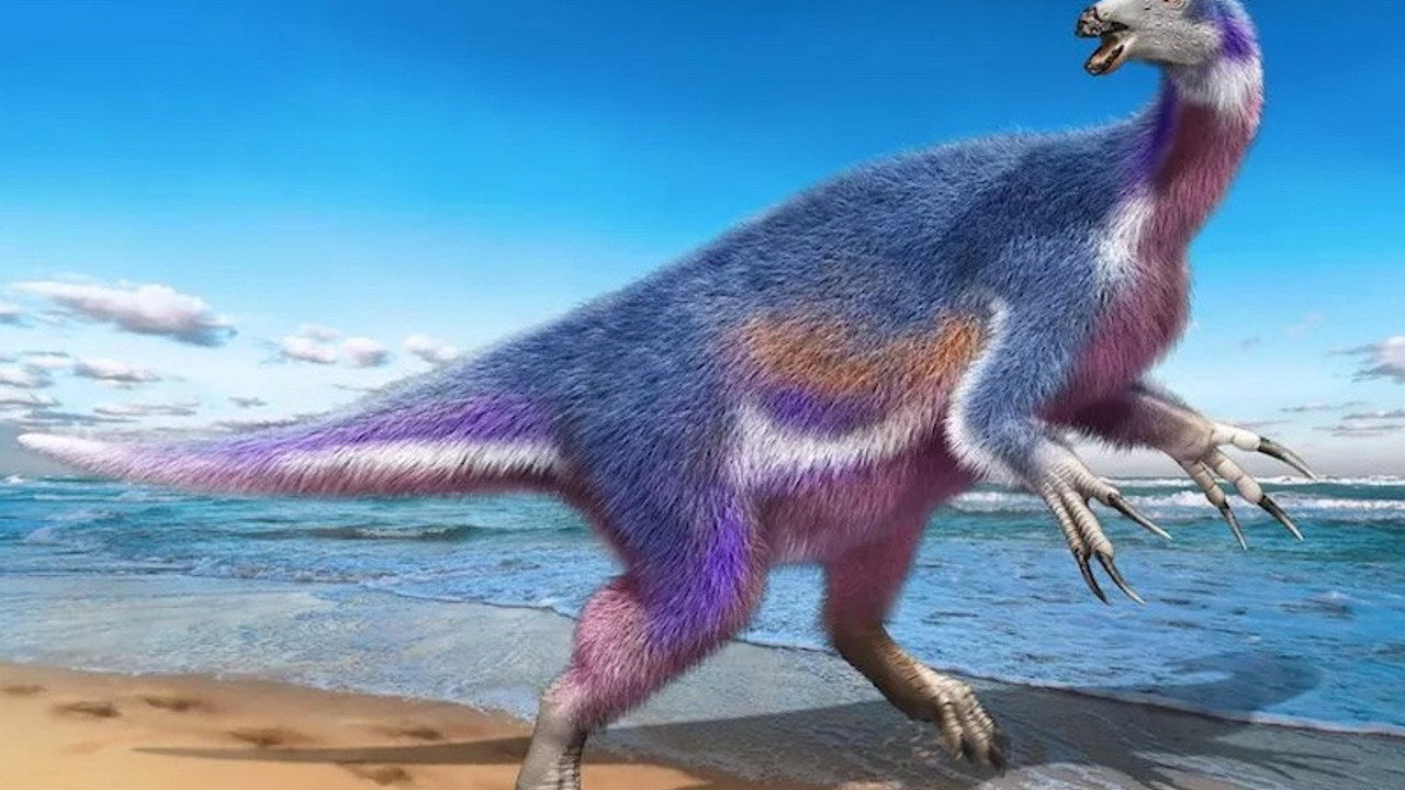 Bu dinozor diğerlerinden çok farklı