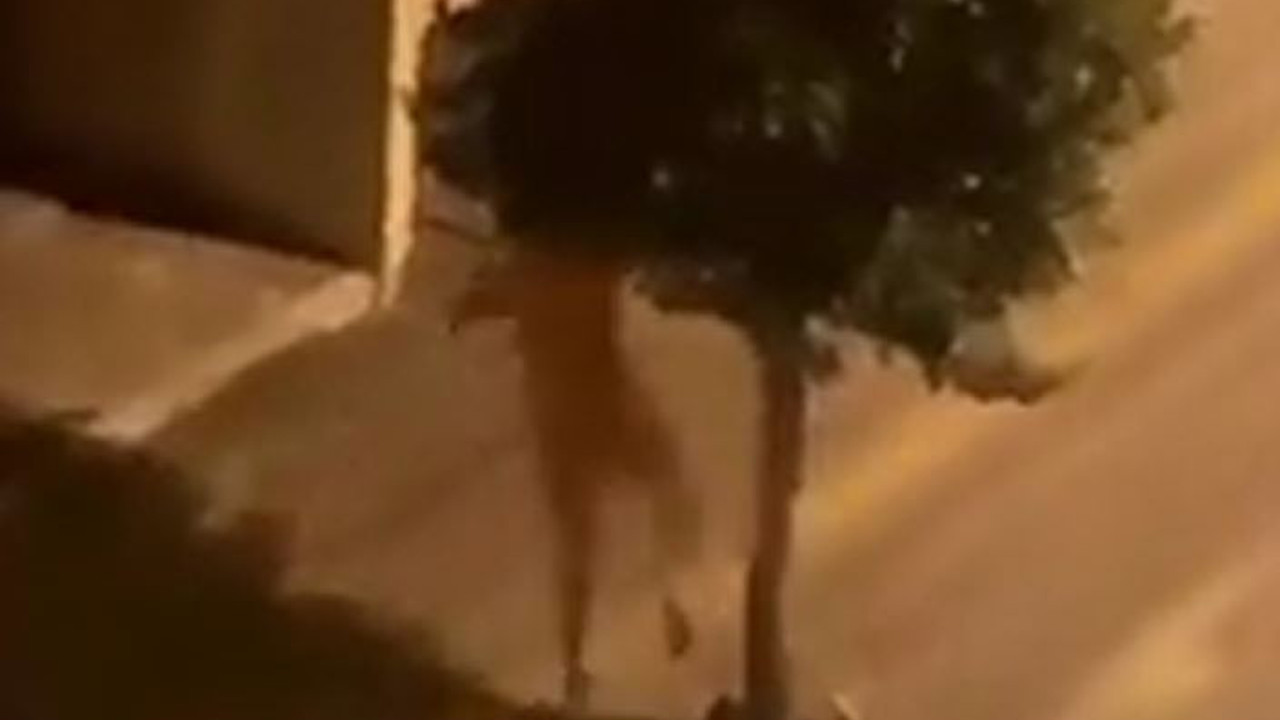 Güngören’de çıplak gezen vatandaş ağaçları tekmeledi. Oynatmaya az kaldı doktorum nerede