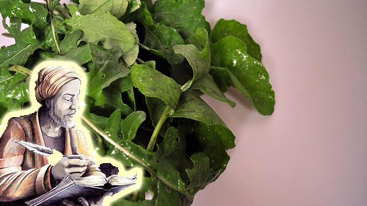 İbn-i Sina’nın mucize reçetesi ortaya çıktı. Şeker hastalarına müjde