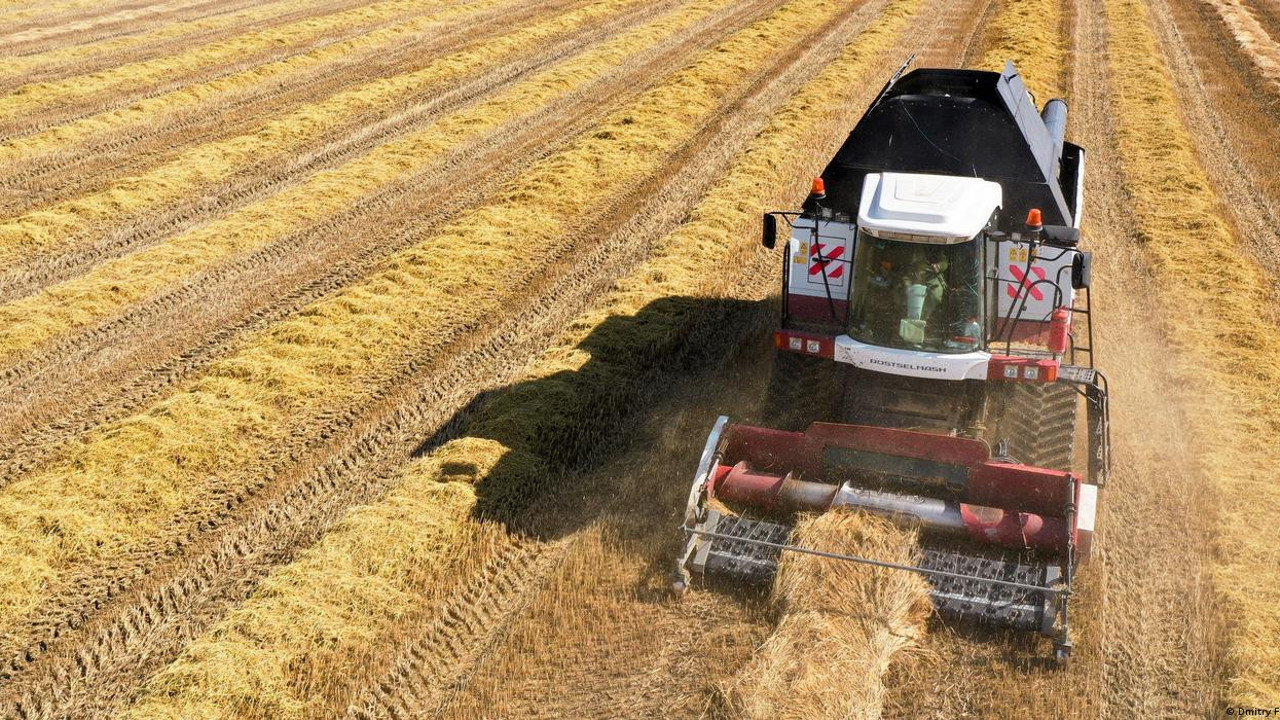 Tarım yazarı Ali Ekber Yıldırım Venezuela'nın buğday ekmeye uygun olmadığını açıkladı. O zaman ne ekilecek