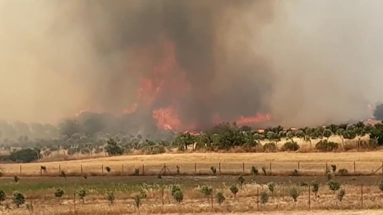 Foça'daki orman yangını kontrol altında