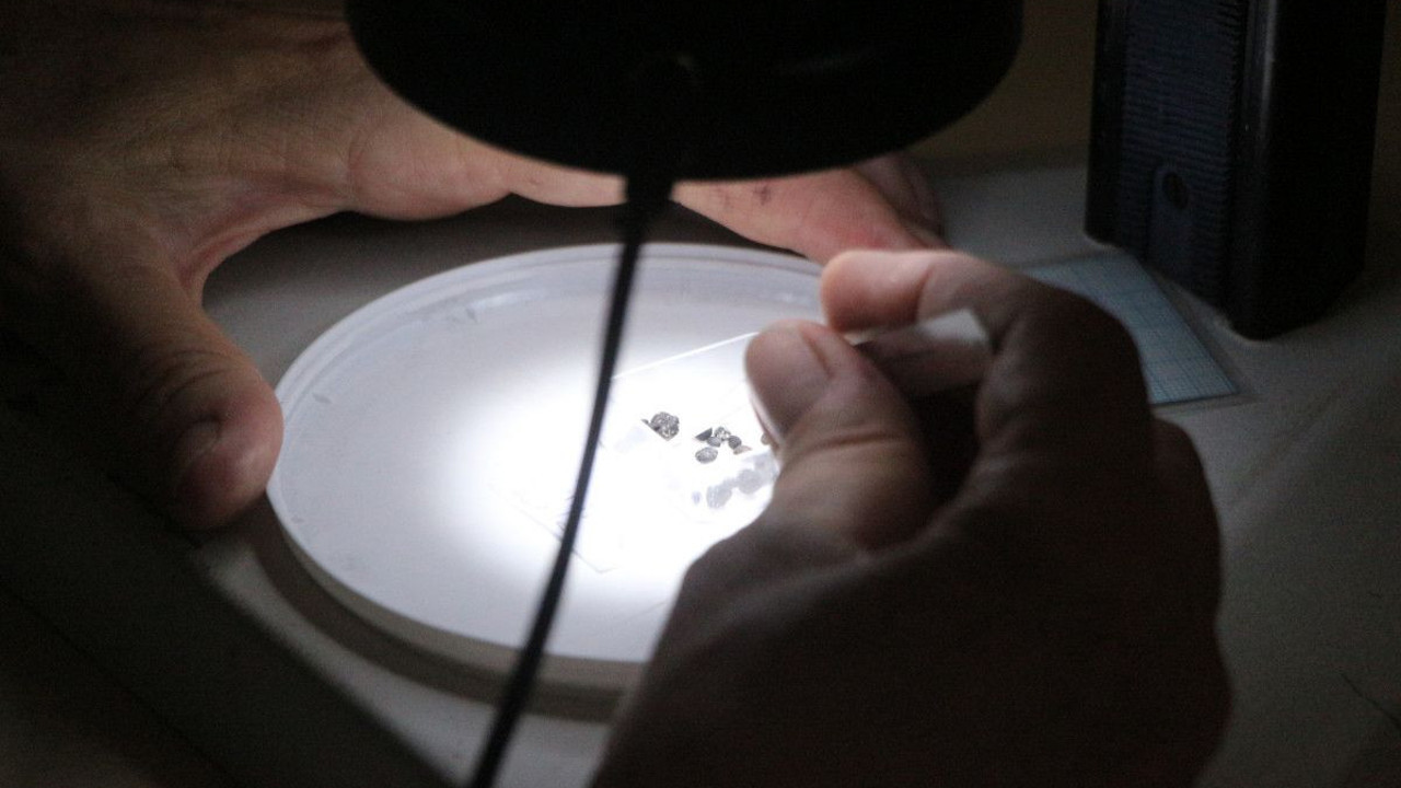 Üç bin yıllık tohum bulundu: İncelemeye alındı