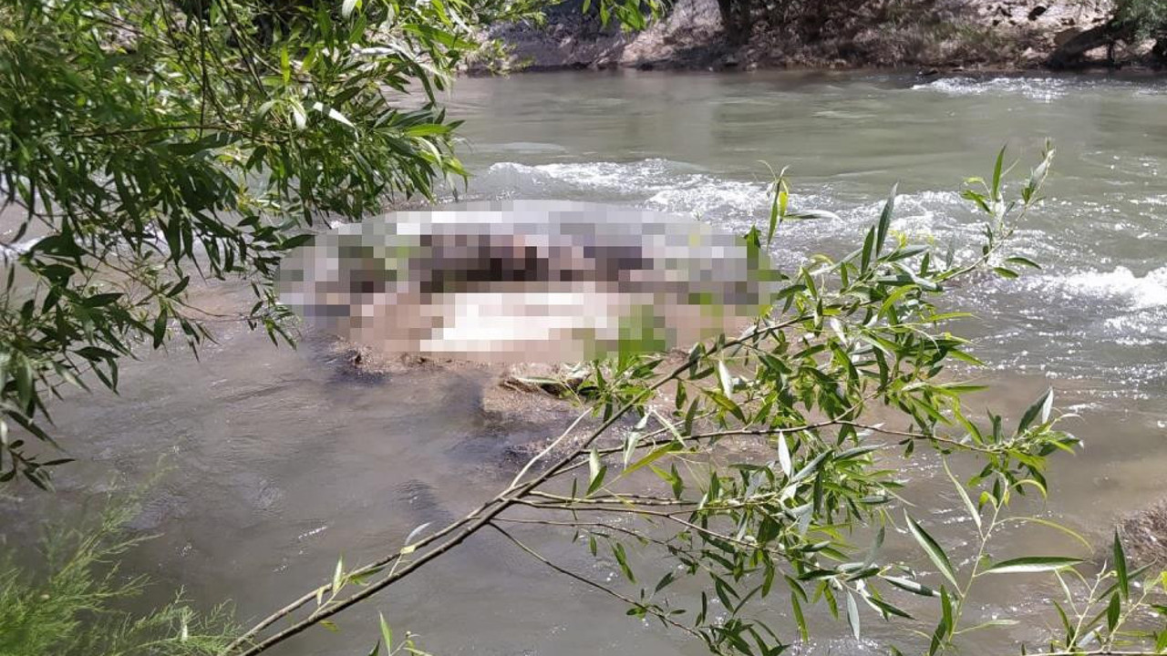 Bitlis’te dere yatağında erkek cesedi bulundu