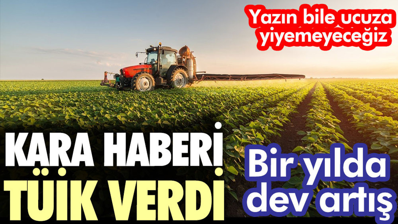 Kara haberi TÜİK verdi. Tarımsal girdi fiyatları bir yılda yüzde 117,31 arttı