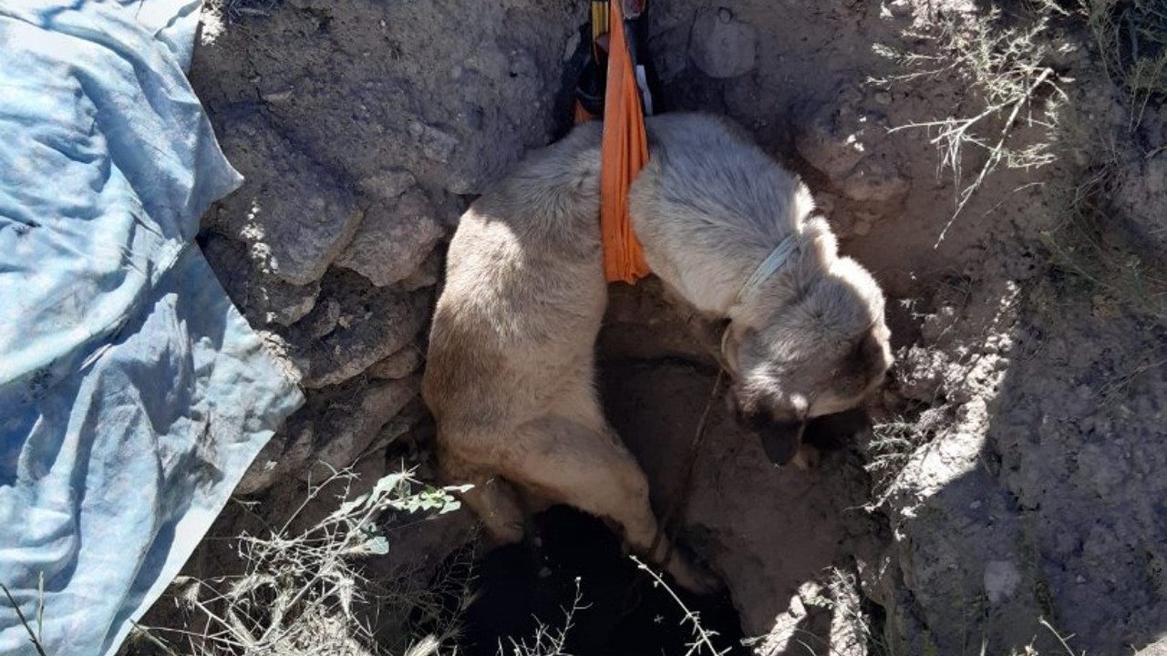 Aksaray'da 4 metrelik kuyuya düşen köpek kurtarıldı