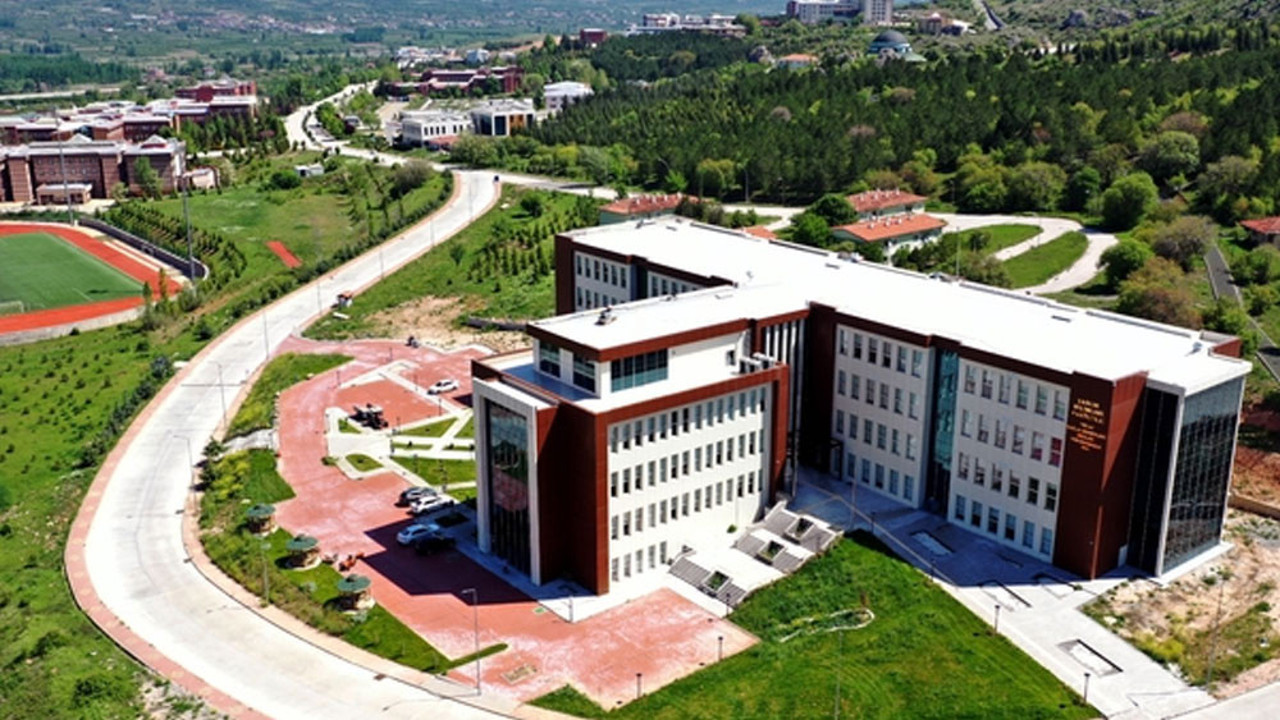 Tokat Gaziosmanpaşa Üniversitesi öğretim üyesi alacak