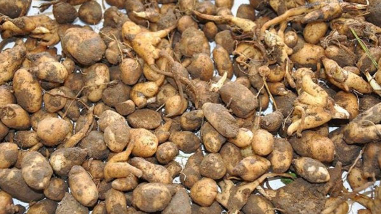 İzinsiz topladılar: 438 bin 372 liralık ceza