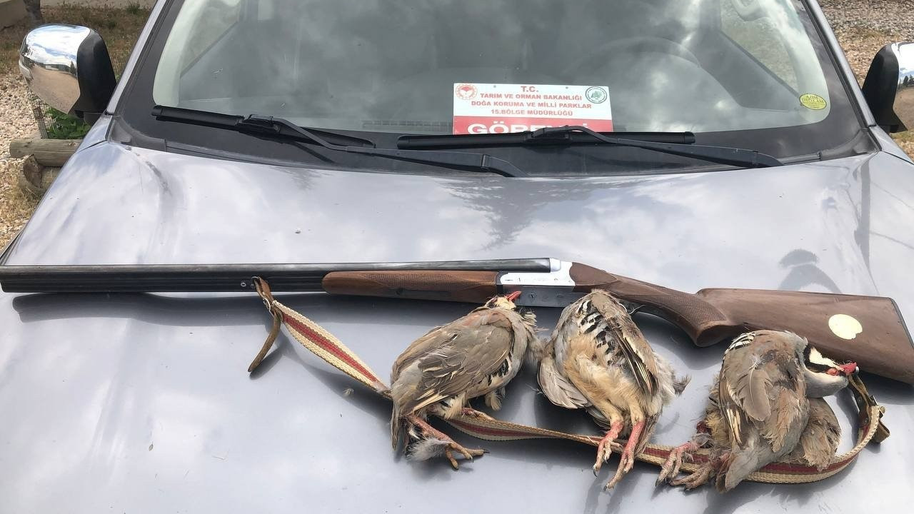 Tunceli’de kaçak avcıya ceza