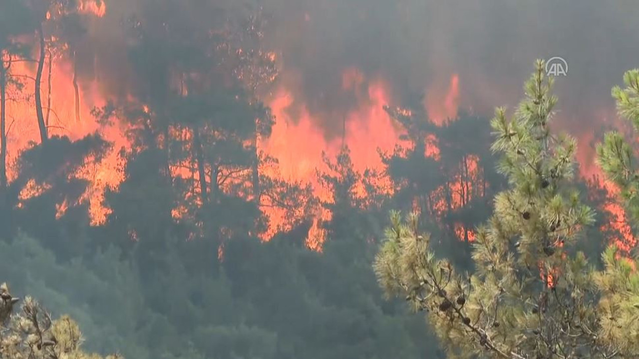 Şahan Gökbakar Marmaris'teki ''Yangında havada uçak yok'' deyince Soylu çok kızdı. Gökbakar'ı ''şeytan'' ilan etti