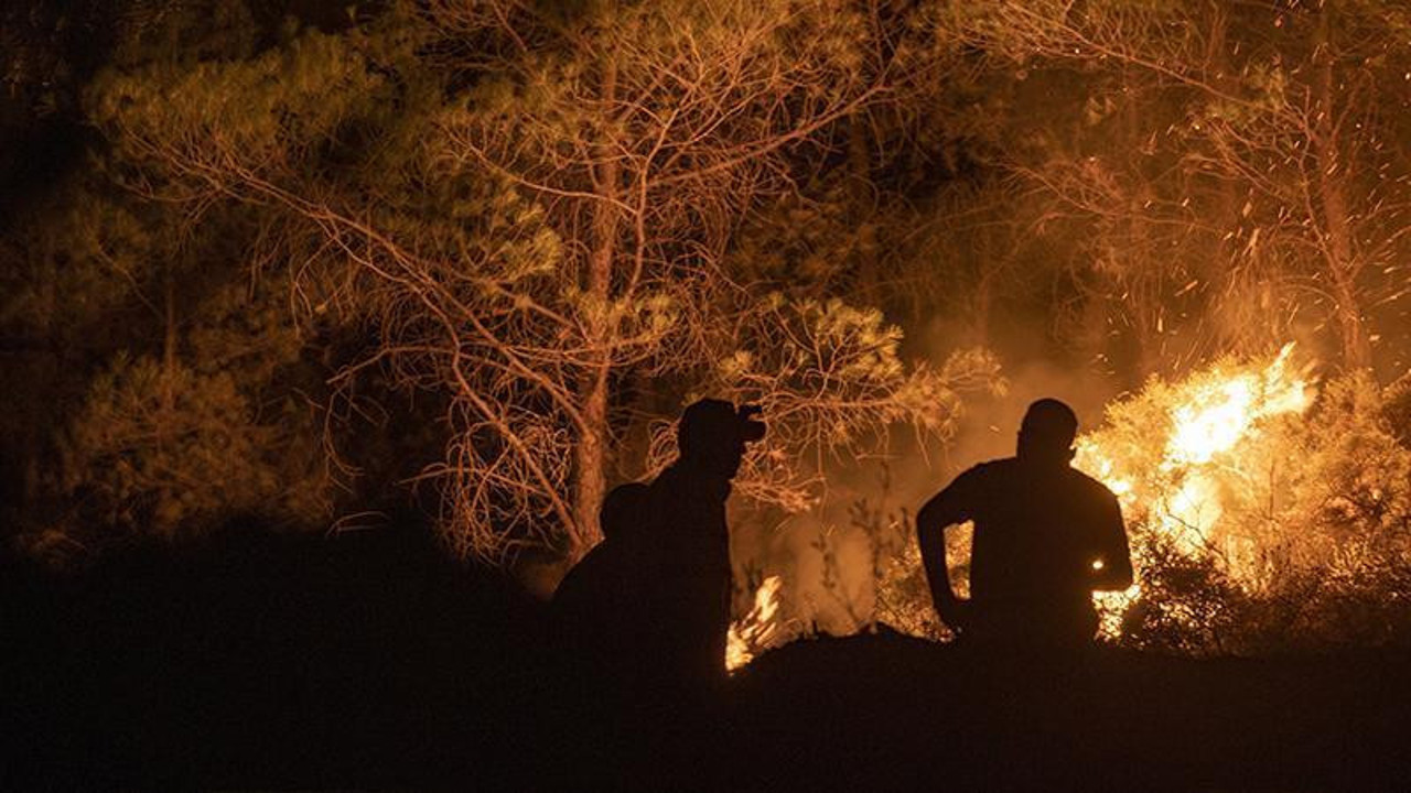 TBMM'de 'orman yangınlarının araştırılması' önergesi AKP ve MHP oylarıyla reddedildi
