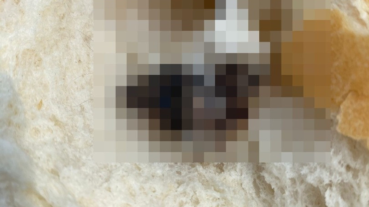 Piknik yapmak isteyen aile hayatının şokunu yaşadı. Somun ekmeğim içinden iğrenç bir şey çıktı