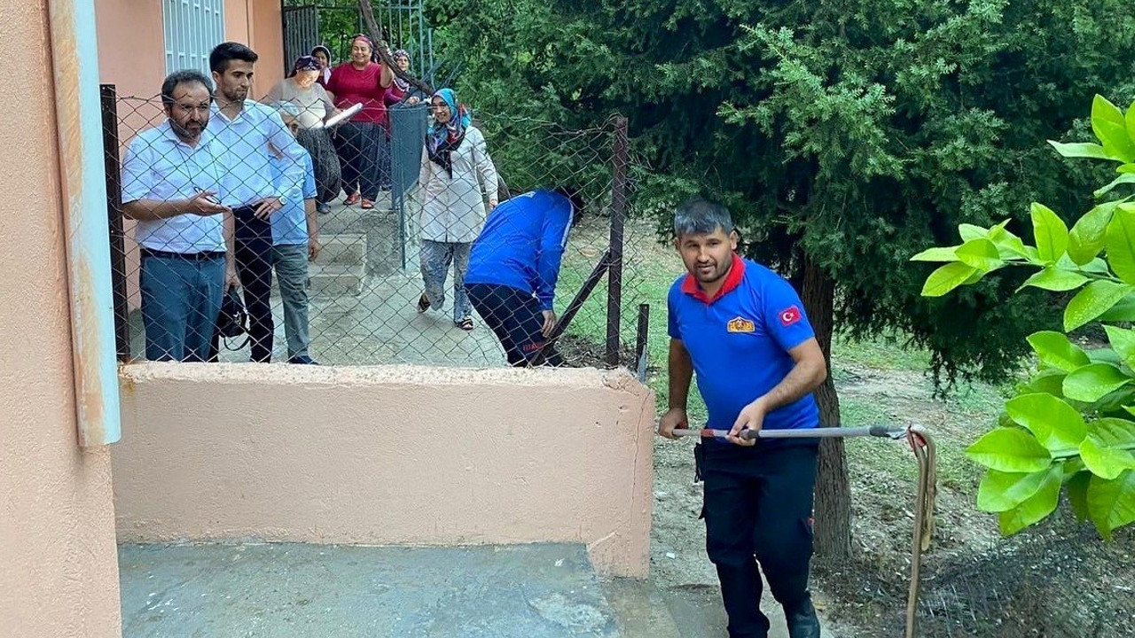 Osmaniye'de evde yılan paniği