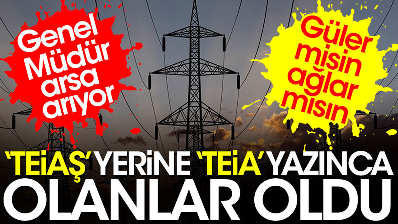 “TEİAŞ” yerine “TEİA” yazınca olanlar oldu. Genel Müdür arsa arıyor