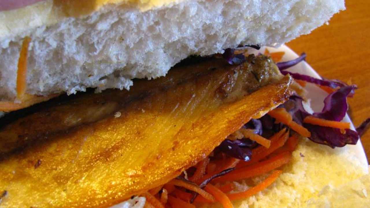 Balık hastanelik etti