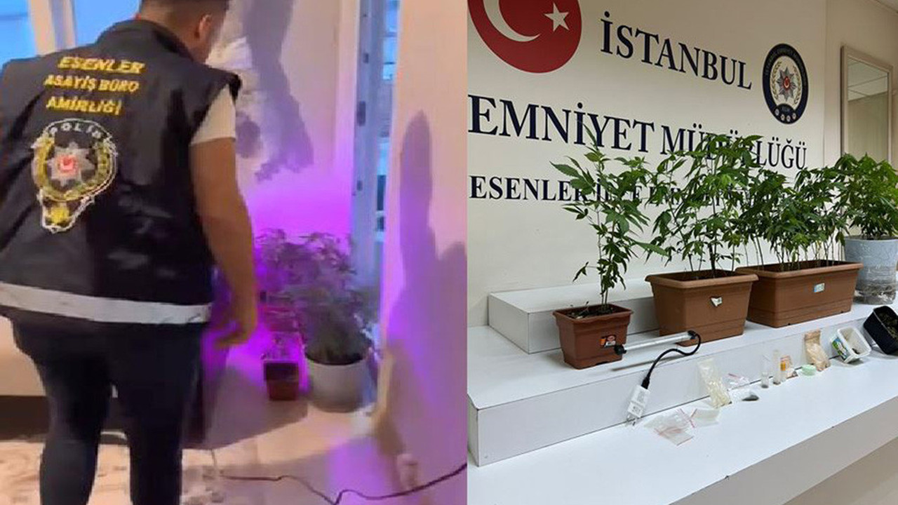 Evinde uyuşturucu yetiştiren şüpheli yakalandı