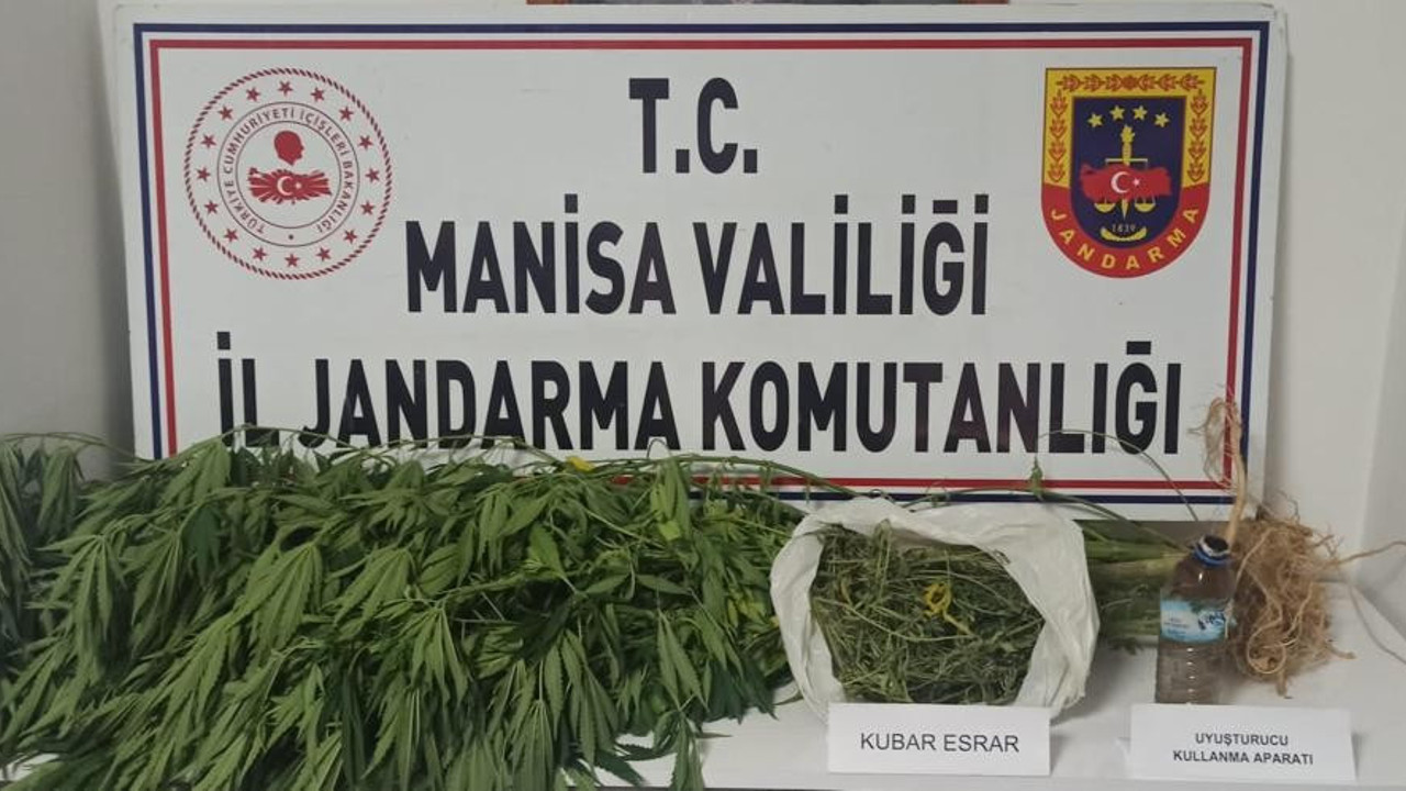 Bahçede kenevir yetiştiren şahsın evine operasyon