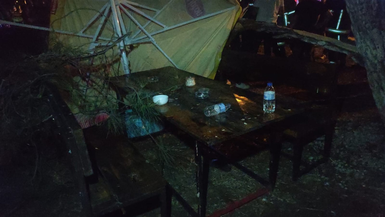 Çay bahçesinde ağaç devrildi: 2 yaralı