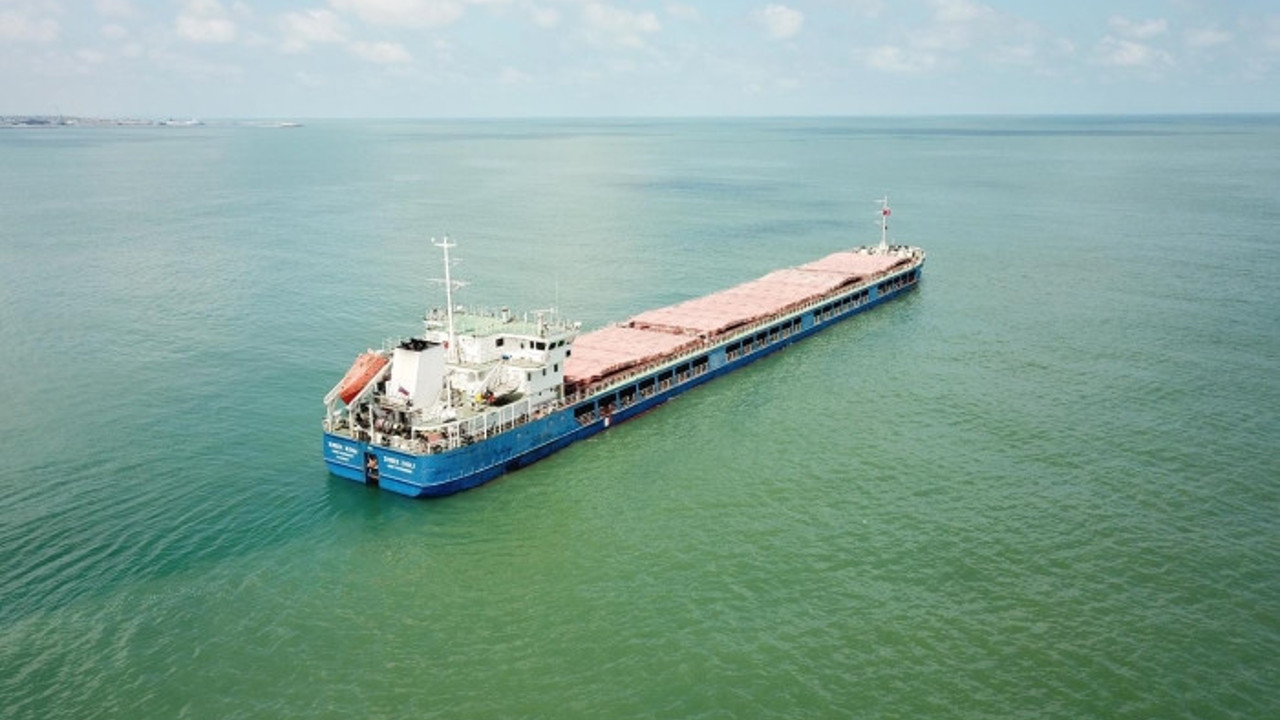 Ukrayna’dan yola çıkan 4 bin ton buğday Türkiye'ye ulaştı