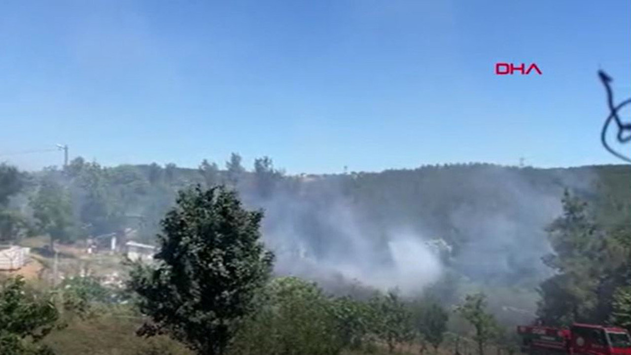 Beykoz’da orman yangını