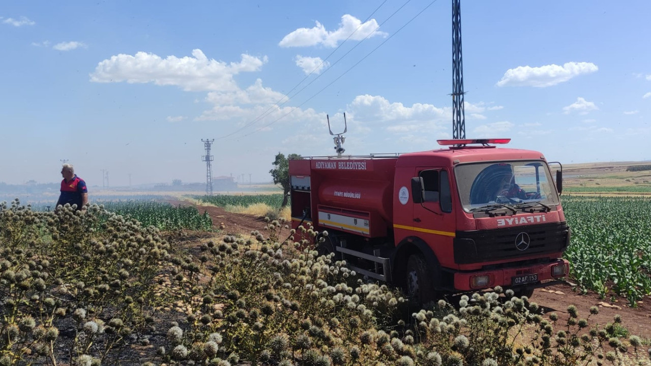 Adıyaman'da 50 dönümlük arazi alev aldı