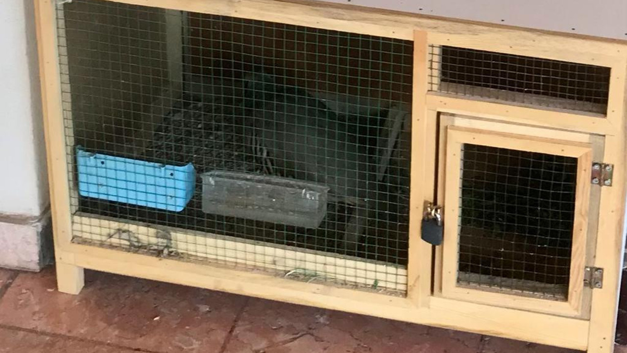 İl Özel İdaresi’nde devletin kekliklerine hapis