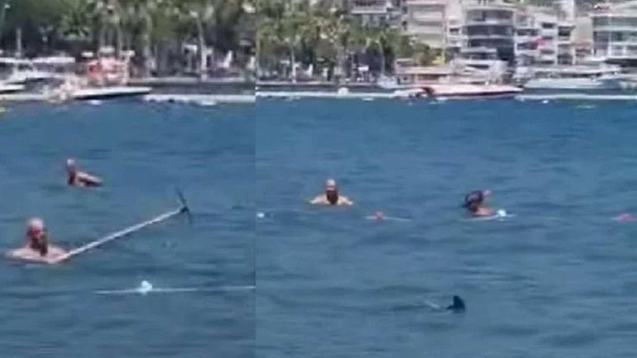Dünya süpürge sapıyla köpek balığı kovalayan Türkleri konuşuyor. Mısır’da iki kadını yiyen köpek balıkları Marmaris’te dayak yedi