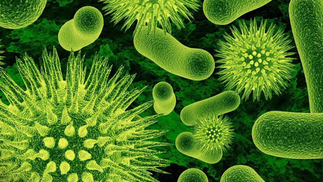 Bilim dünyasının bilmediği 1000'e yakın yeni mikrop türü keşfedildi