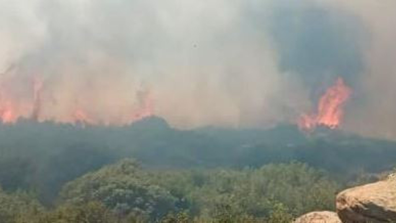 Çanakkale'de orman yangını (05 Temmuz 2022)