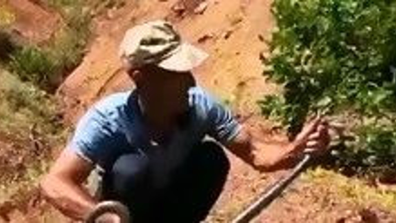 Dağda boyundan uzun yılanı tek hamlede yakaladı