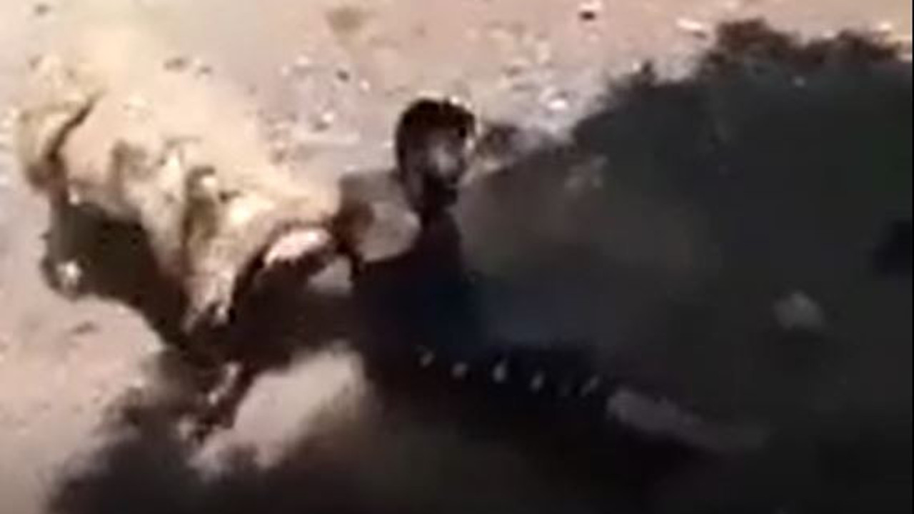 Sen misin bizi kesilmeye götüren. Koç intikamını çok sert aldı