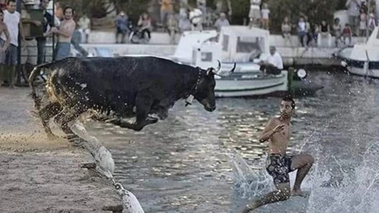 Unutulmaz kurban bayramı fotoğrafı. Tarihte su üstünde sadece 3 kişi yürümüştü: Hz. İsa, Aziz Petrus, Adanalı Haydar. Sadece Adanalı Haydar'ın fotoğrafı vardır