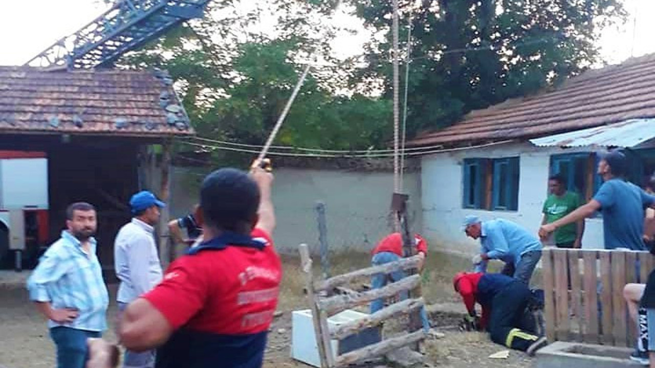 Kuyuya düşen kurbanlık inek yakalandı