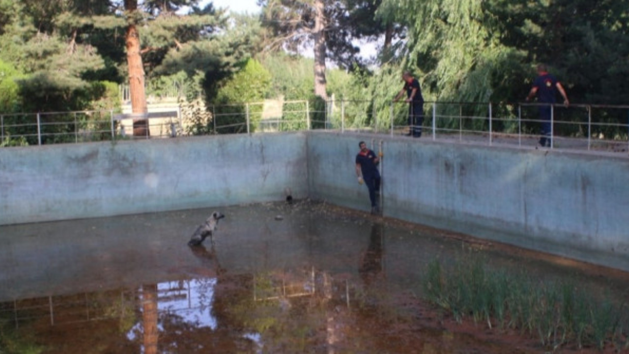 Boş havuzda mahsur kalan köpeği itfaiye kurtardı