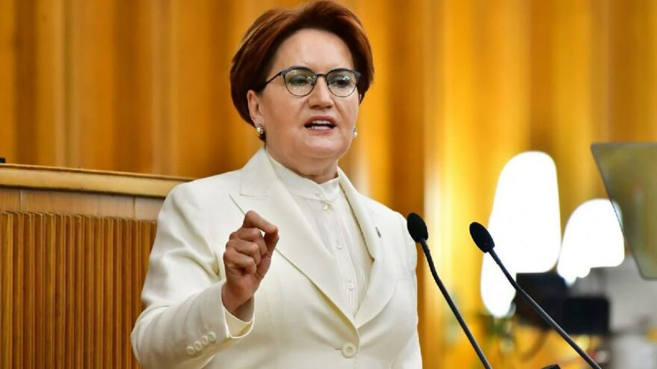 Meral Akşener’den Türk Dil Kurumu mesajı