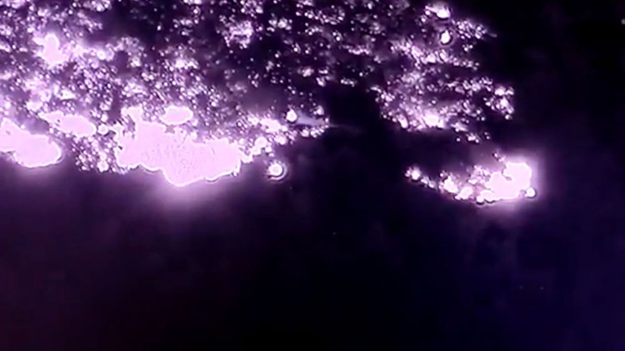 Gece görüşlü 1 helikopter sabaha kadar savaştı. O helikopterin görüntüleri ortaya çıktı