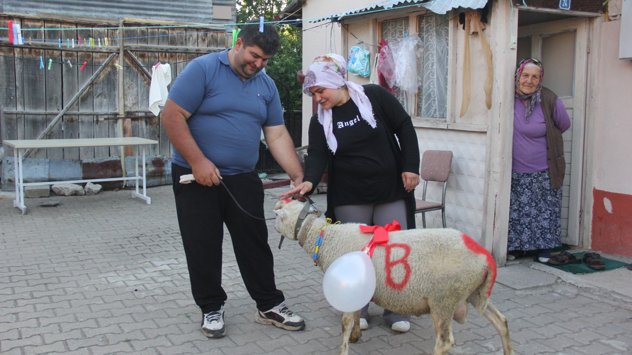 Nişanlı kızlara koç hediye etme geleneği yaşatılıyor