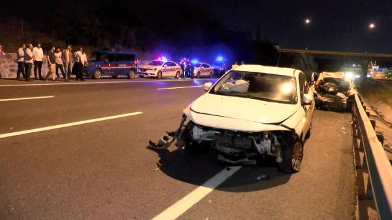 Başıboş 2 manda kazaya neden oldu: 1 ölü, 2 yaralı