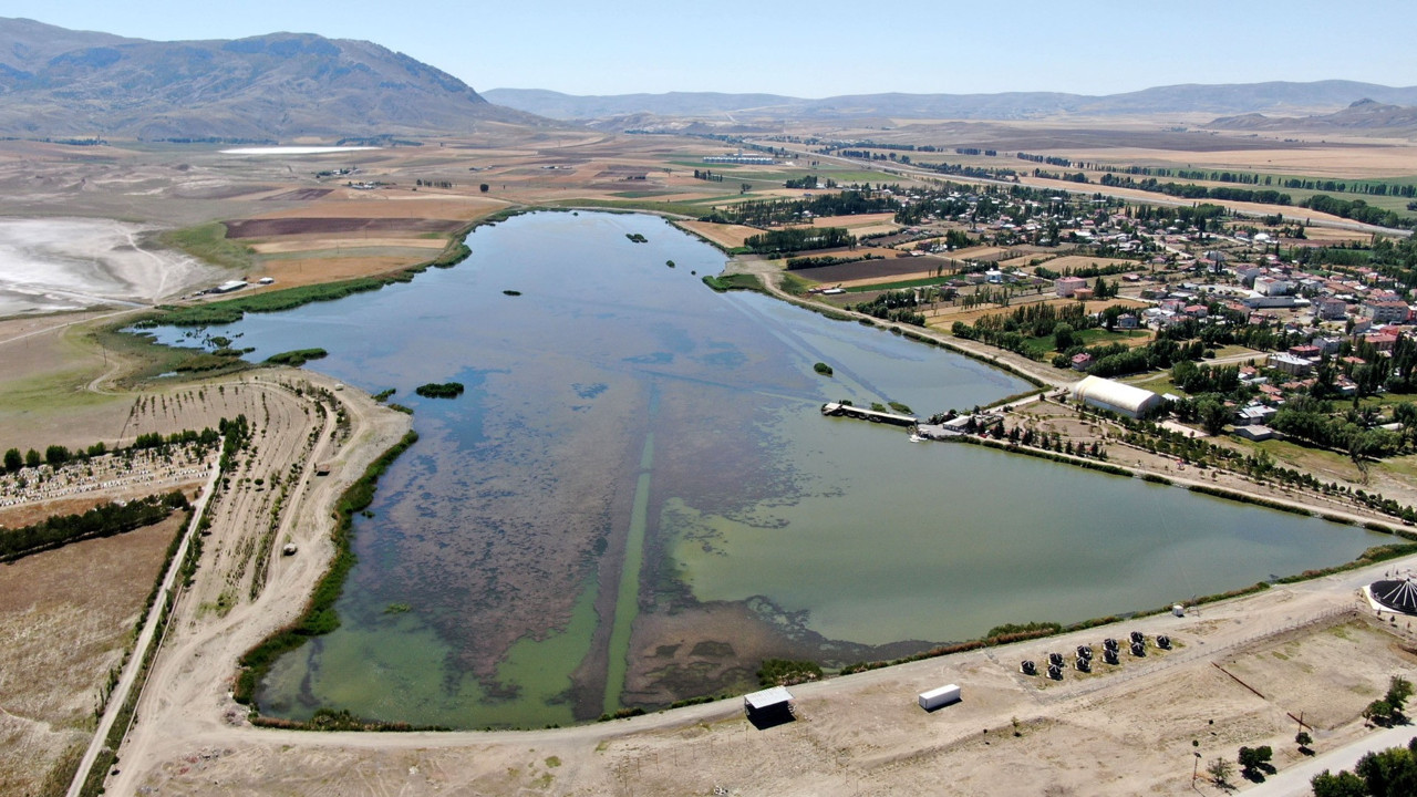 Sivas'ta korkutan 'toplu balık ölümleri'
