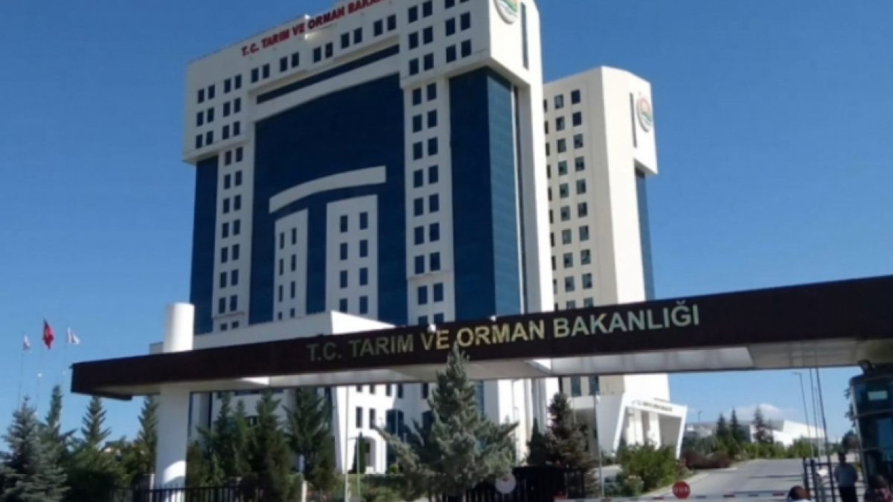 Tarım ve Orman Bakanlığı personel alacak (16 Temmuz 2022)