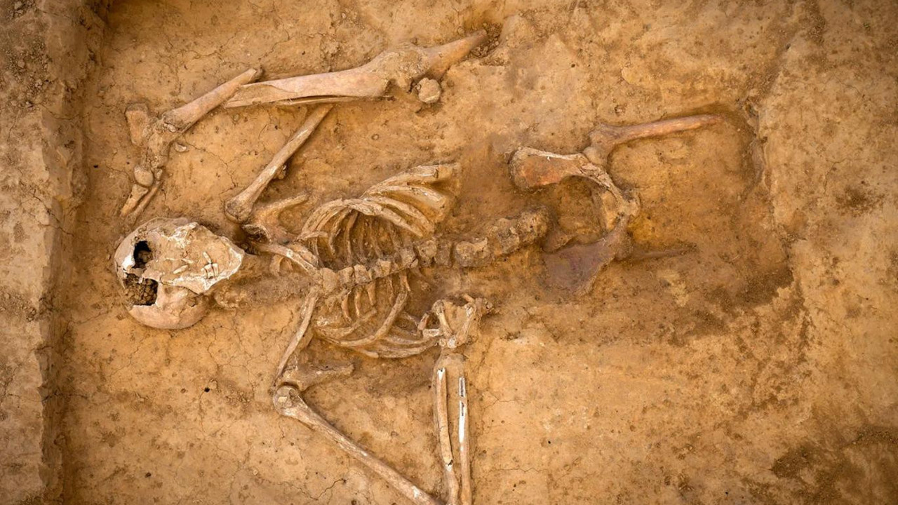 Bir dönemin tarihini değiştiren savaştan insan ve at kalıntıları bulundu