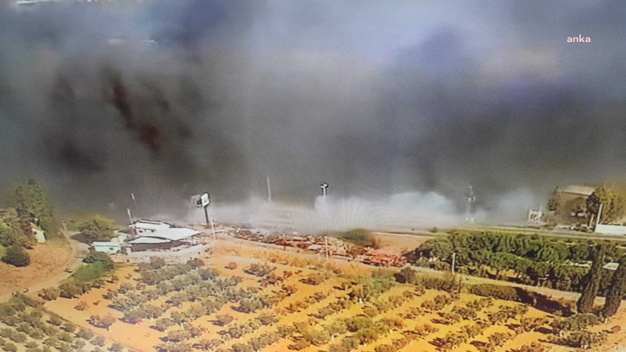 İzmir'de orman yangını (17 Temmuz 2022)